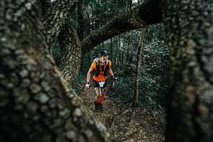 BIB: 
                            <button type="button" onclick="openModal(25391863)" class="btn btn-primary btn-sm float-right btn-popup" data-toggle="modal" data-target=".modal-high-quality">
                        <i class="fas fa-shopping-cart"></i> Add to Cart
                    </button>
                                            <button type="button" onclick="isThisMe(25391863, true)" class="btn btn-success btn-sm float-right btn-popup btn-isme hidden" data-toggle="tooltip" data-placement="bottom" title="นี่คือรูปของคุณใช่ไหม คลิกที่นี่เพื่อเอาเข้าอัลบั้ม">
                        <i class="fas fa-plus"></i> Add to album
                    </button>
                    <button type="button" onclick="isThisMe(25391863, false)" class="btn btn-warning btn-sm float-right btn-popup btn-isnotme hidden">
                        <i class="fas fa-ban"></i> Remove from album
                    </button>